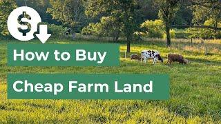 How to Buy Cheap Farm Land: Grants, Seller Financing, & Getting More with Less