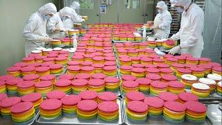 Amazing! fantastic Rainbow Cake! Amazing mass production cake factory! / Korean cake factory