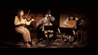 Sonata (Nicola Matteis) | Castello Consort (live)