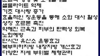 음파진동기 렌탈 1661-7559 가격비교 소닉플러스 효과 추천 후기