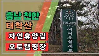 천안 아산 태학산 자연휴양림 오토캠핑장