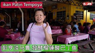 Temerloh Pahang  ikan Patin Tempoya 彭亨淡马鲁地方特色美食,發酵榴蓮酸巴丁鱼,馬來西亞最具特色傳統臭香美食