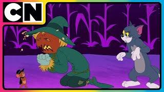 Tom & Jerry | All Hail The Skull King Tom! ️| Cartoon for Kids | Halloween Special | Cat & Mouse