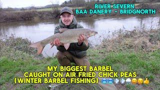 River Severn Barbel Fishing - BAA Danery - My biggest Barbel I’ve caught on Air Fried Chick Peas 