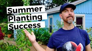 TIPS FOR SUMMER GARDENING IN TEXAS