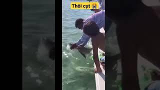 thôi thế cụt  joke with sharks #shorts