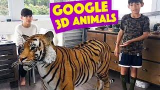 SEE HOW TO DO Google 3D Animals - We've tried them ALL