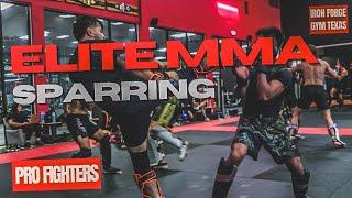 INSANE ELITE MMA SPARRING | IRON FORGE GYM TEXAS #boxing  #muaythai #mma #sparring #kickboxing #bjj