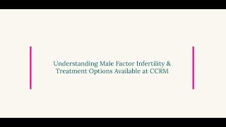 Male infertility treatment options