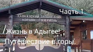 Кавказский заповедник "Гузерипль"/Жизнь в Адыгее/Часть1