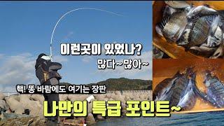 와~오늘도 감성돔 타작 이네요~/ 이런 포인트가  있었나?(데트라X)  ~핵똥바람에도 여기는 장판