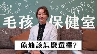 【毛孩保健室】魚油選擇太多了怎麼選擇才正確?｜小姐愛美力