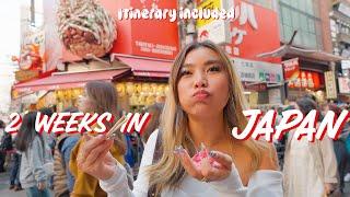 How I Spent 14 Days in Japan  (eating, vintage shopping, Disneyland, etc)