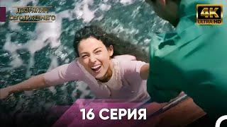 Сегодняшний придворный Серия 16 | 4K