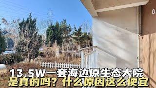 山东龙口海边带40平米大院的一楼，13.5万能是真的吗？为啥这个价