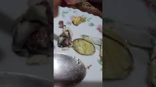 Would you Eat this Baby Bird ?