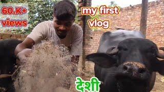 vikas new best देहाती video  funny video ll vikas desi funn