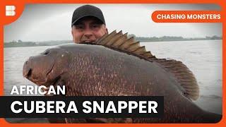 African Cubera Snapper Hunt - Chasing Monsters - Fishing Show