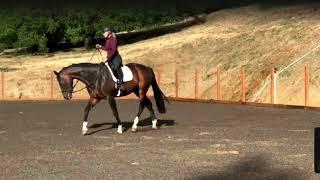 Karen and Q Schooling 6 27 24