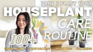 How I Care for 100+ Houseplants PART 3 | Plant Chores | Repotting | Propagation | Tips | Routine