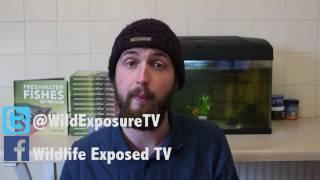 Update on Wildlife Exposed