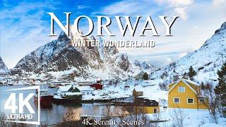 4K Norway Winter Wonderland  Snow-Capped Fjords, Frozen Landscapes, Magic of the Northern Lights