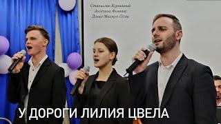 У дороги лилия цвела//Ансамбль "Небесный Луч"