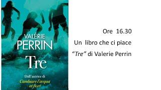 Ci sono piaciuti "Tre" di Valerie Perrin