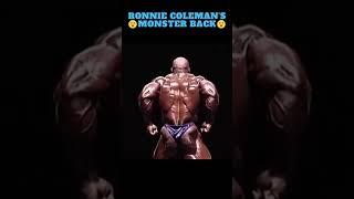 Best Back In Bodybuilding History - Ronnie Coleman 