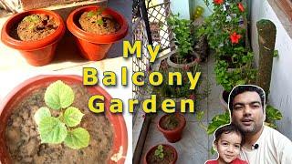 Our Small Balcony Garden | Our Balcony Garden Tour