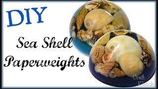 Sea Shell Resin Paperweight | DIY Project | Craft Klatch | Resin Projects | How To