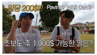 호주(시드니) 워킹홀리데이 직업정보 1탄, 초보도 일주일에 100만원 벌기 가능한 Paving의 세계