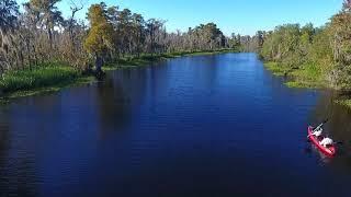 Swamp Tour in New Orleans with Kayaks