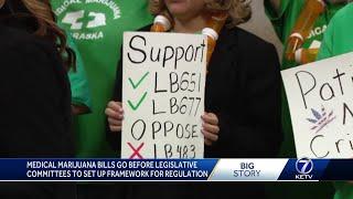 Medical Marijuana bills go before legislative committees to set up framework for regulation