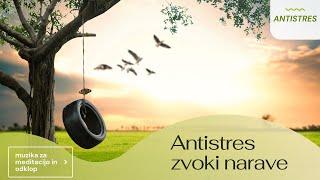 Relaks music  antistres, peace, mir, narava, odklop, fokus, sanje,