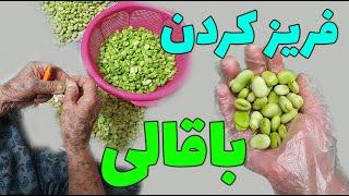 فریز کردن باقالی | Freeze beans