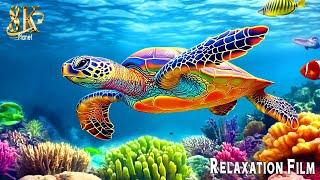 Aquarium 8K Ultra HD  Relaxing Music & Stunning Hawaiian Sea Views | Great Escapes