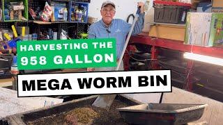 Harvesting a Mega Worm Bin