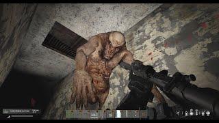 ️Stalker with friends? DayZ Stalker multiplayer mod️