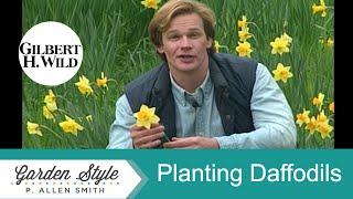 How to Plant Daffodils | Garden Style (119)