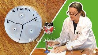 Microbiology - GCSE Science Required Practical (Triple)