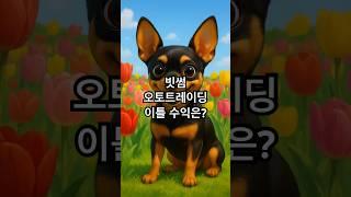 빗썸 오토트레이딩 이틀 수익은?