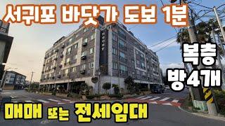 [복층 매매/전세] 바닷가 해안도로 도보1분, 남원초 도보2분거리, 서귀포 남원 디자인타운 방4개 복층구조 전세 또는 매매, 각종 편리한 생활권으로 실거주 추천 #제주도세컨하우스