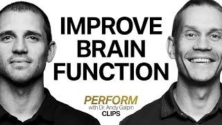 Protocols to Improve & Optimize Brain Function | Dr. Tommy Wood & Dr. Andy Galpin