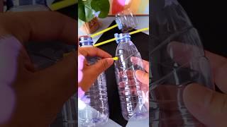 Let's make a project | recycling of bottles | #shorts #youtubeshorts #diy #craft