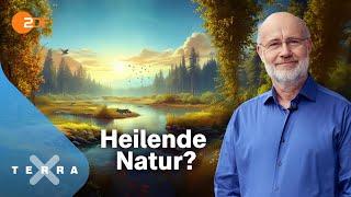 Harald Lesch ... und die unterschätzte Klimachance | Terra X Harald Lesch [Ganze TV-Folge]