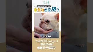 魚油大解密 Ep5：獸醫師揭露魚油陷阱！高濃度 Omega-3 不等於高 EPA