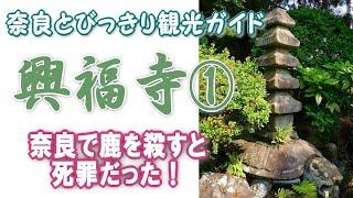 【興福寺】興福寺編1/3 鹿を殺すと死罪だった？菩提院大御堂　奈良観光：猿沢池・采女神社の魅力　興福寺のすべてがわかる　バーチャル奈良観光　奈良修学旅行　奈良とびっきり観光ガイド興福寺【奈良観光】