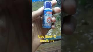 White spot Fish disease treatment |white spot Fish treatment #fish #fishing #shorts #viral #fish