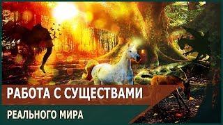 МЕДИУМИЗМ. СУЩЕСТВА РЕАЛЬНОГО МИРА